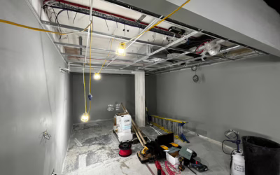 bmw / mini – Bournemouth